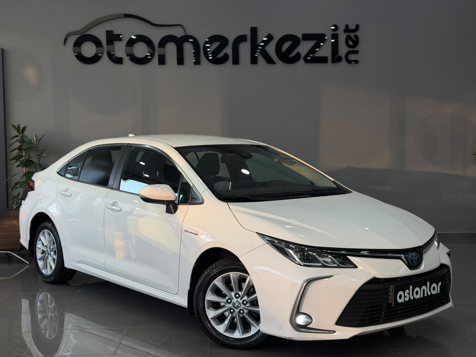 TOYOTA COROLLA 19